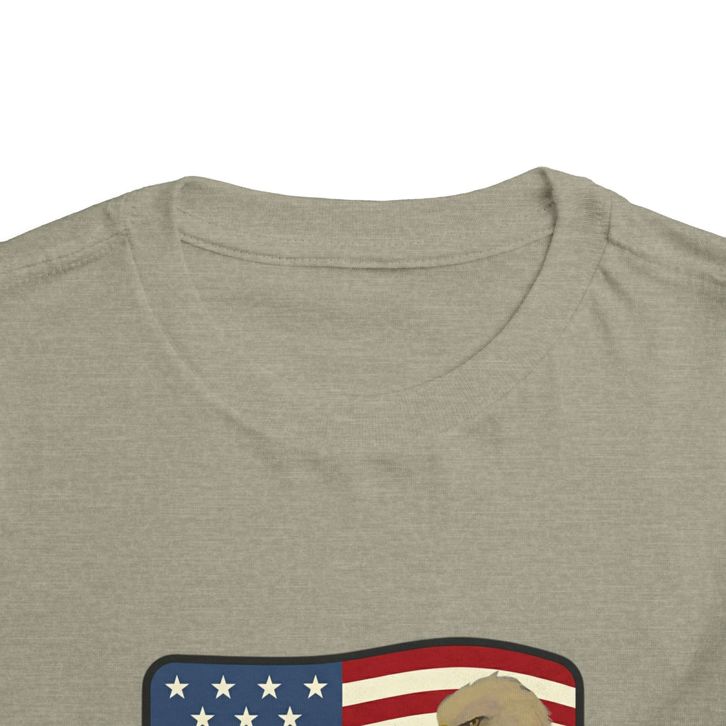 Patriotic Toddler Tee —2T - 5T Patriotic Bald Eagle "USA 2026" Graphic