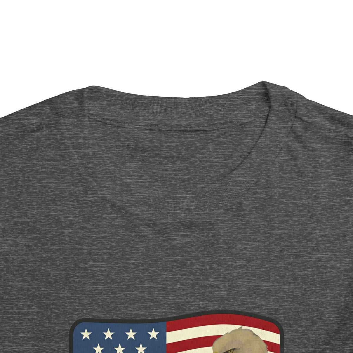 Patriotic Toddler Tee —2T - 5T Patriotic Bald Eagle "USA 2026" Graphic